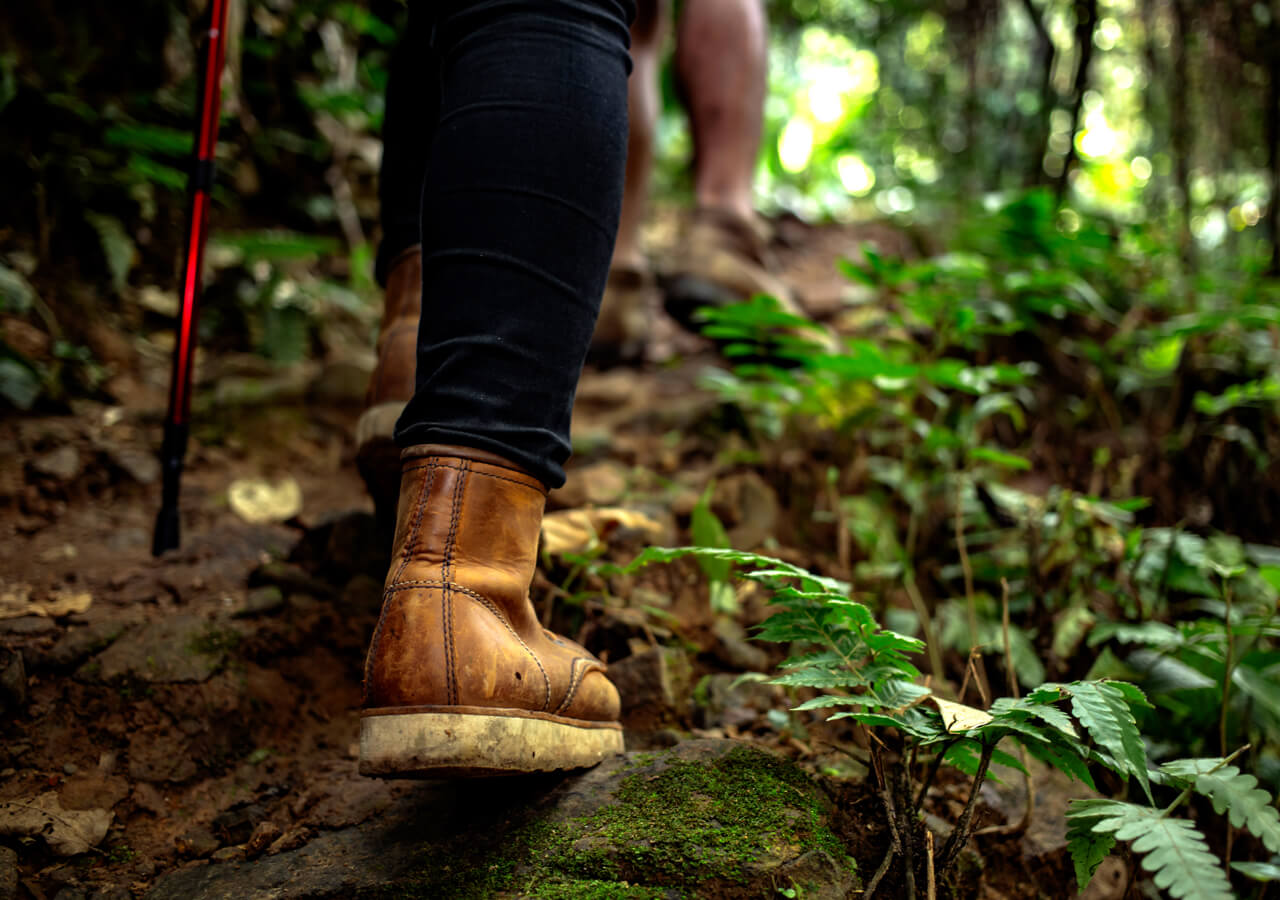 المشي لمسافات طويلة والمشي في الطبيعة