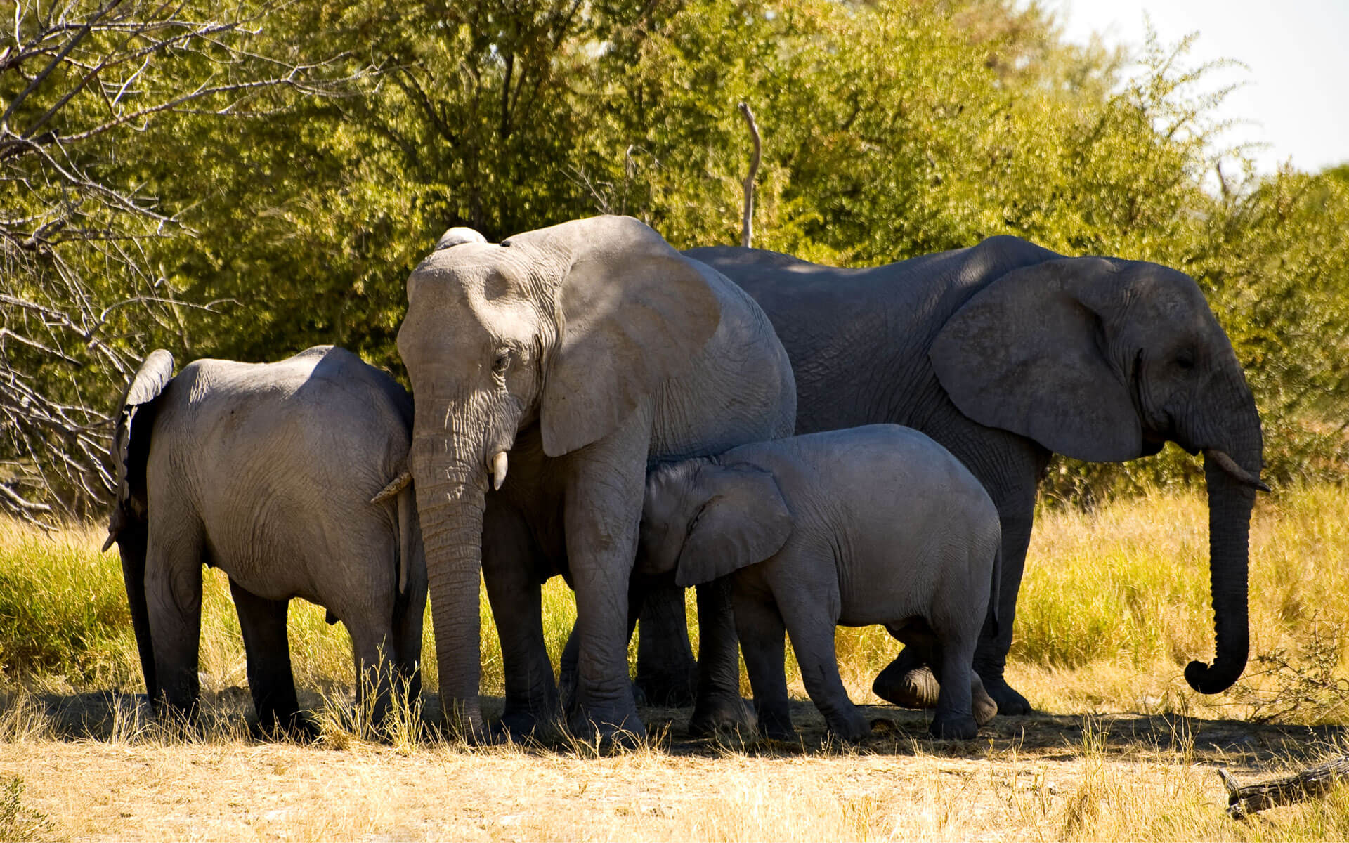 أفضل ما في رواندا في 10 أيام