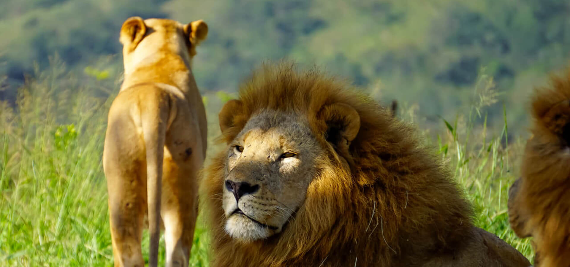 Akagera National Park